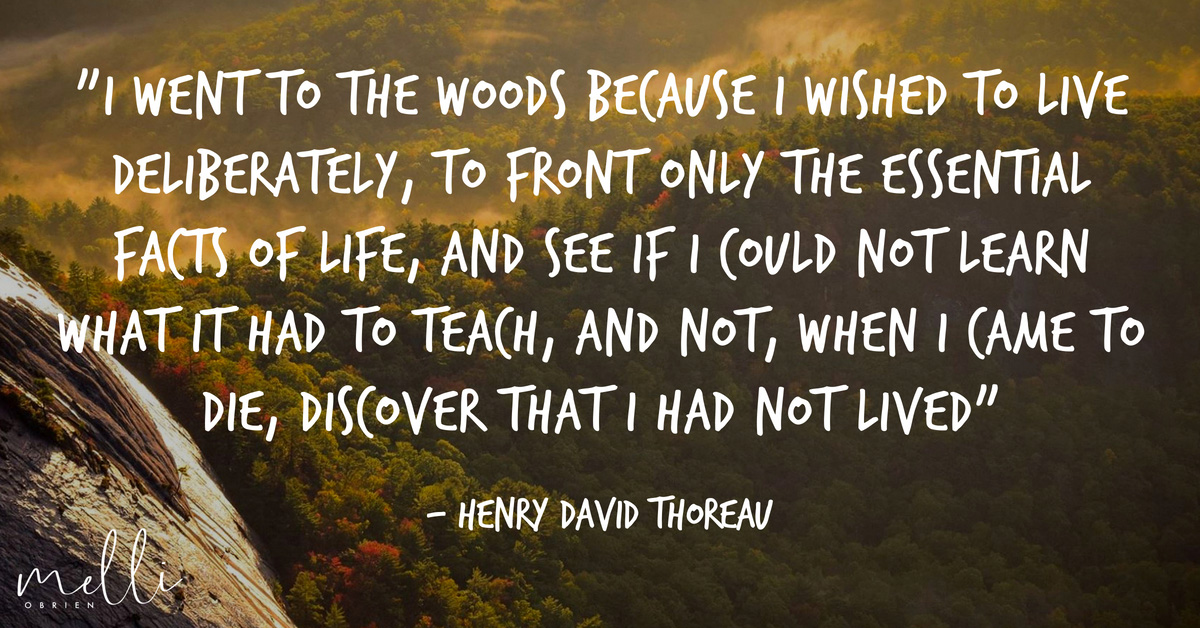 Henry David Thoreau quote